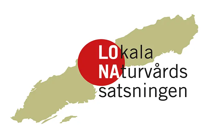 logotype lona