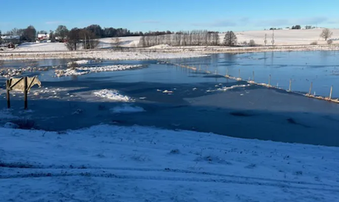 Vattensamling på en våtmark som bildat en mindre sjö. I bakgrunden syns snö och träd.