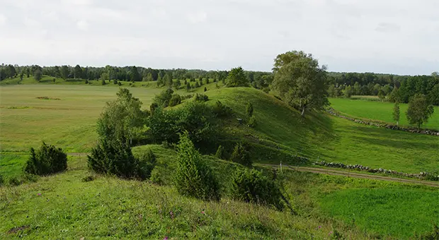 Rullstensås i grönt landskap